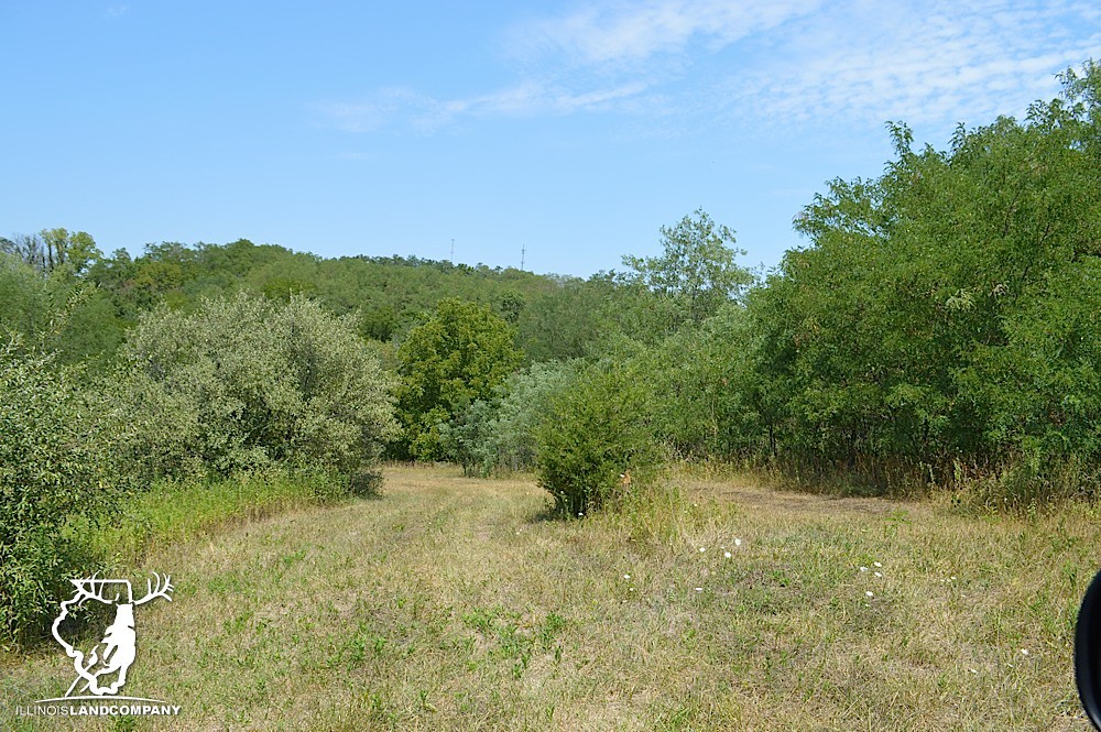 Illinois Land for Sale 40 Acres in Fulton County Flickr