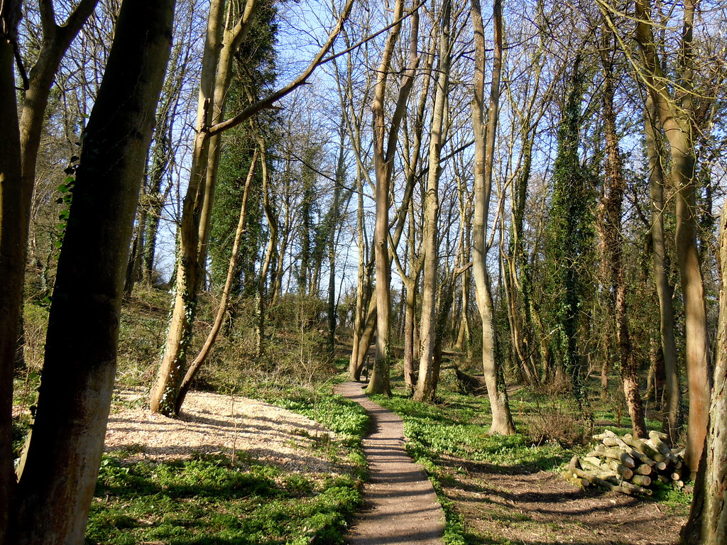 Silver Street Nature Reserve stephen lowe Flickr
