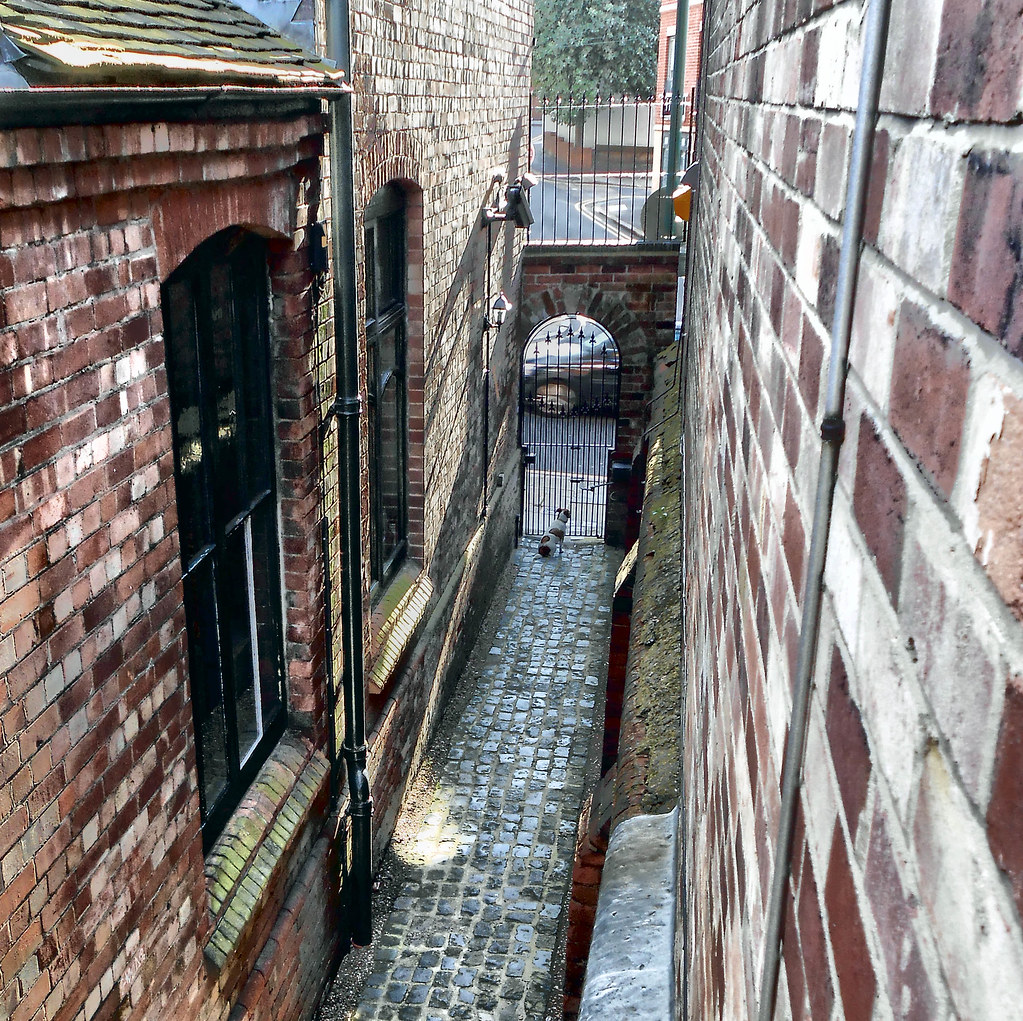 Why do dogs bark at passing cars? Not had much chance to t… Flickr