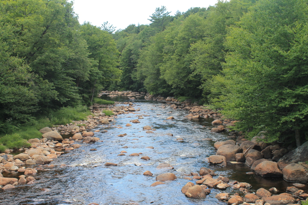 Black River South from Farr Road Flickr