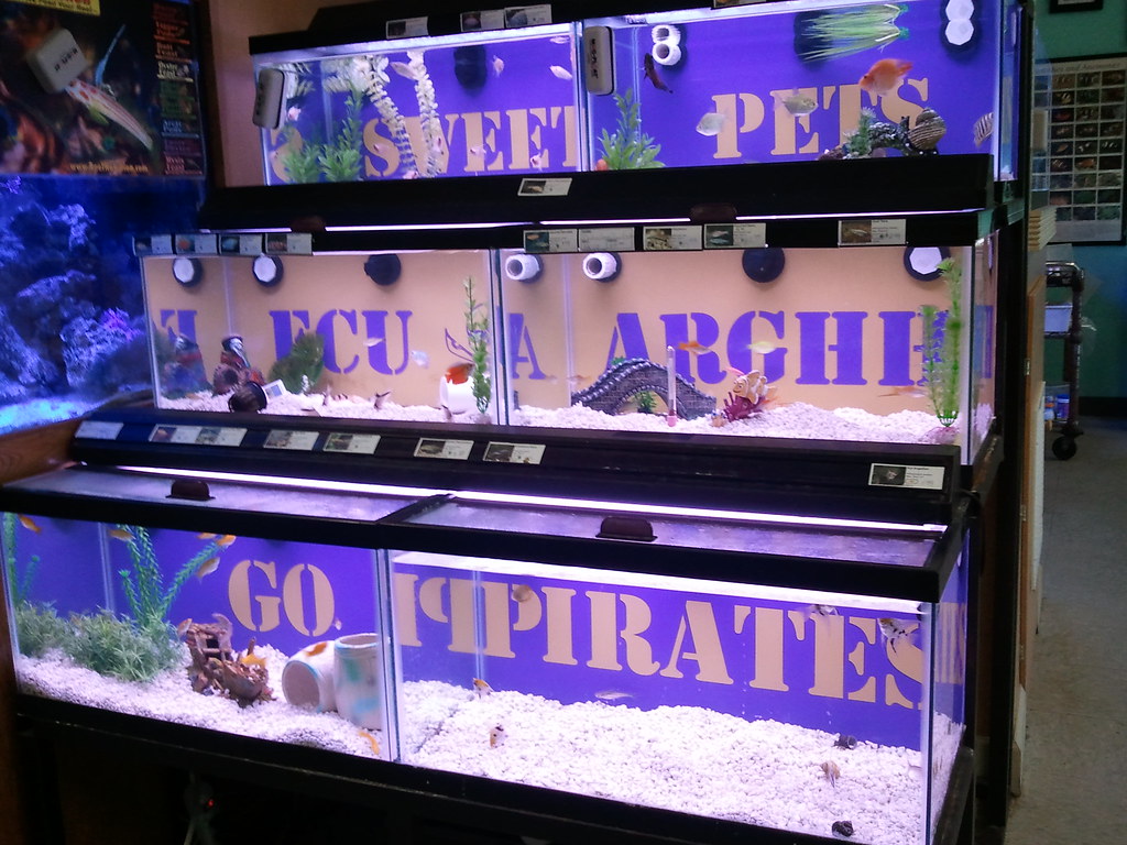 Some of the many fish tanks at the pet store for sale in G… Flickr