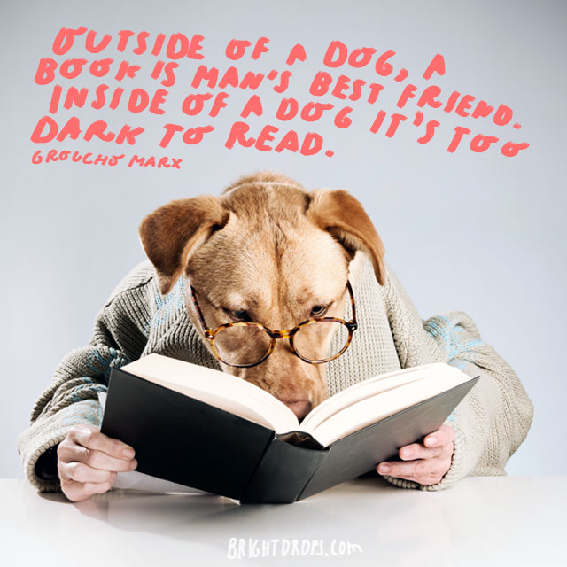 “Outside of a dog, a book is man’s best friend. Inside of … Flickr