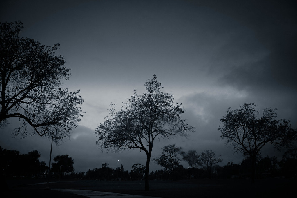 Day 86: Gloomy Morning | It was pouring rain yesterday, up u… | Flickr