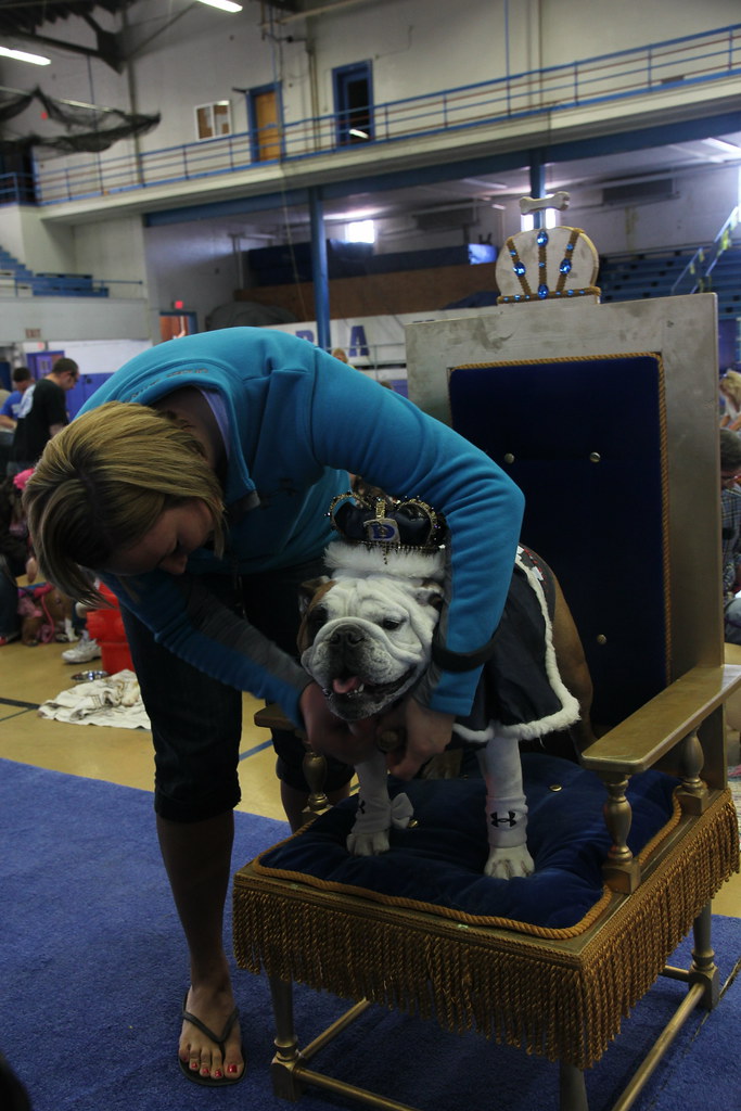 Every Dog Has Its Day Drake Relays Week kicked off today