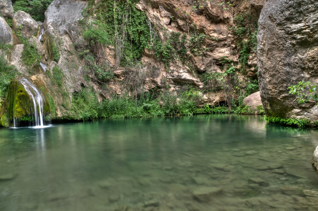 niu de l'aliga alcover isidre65 Flickr