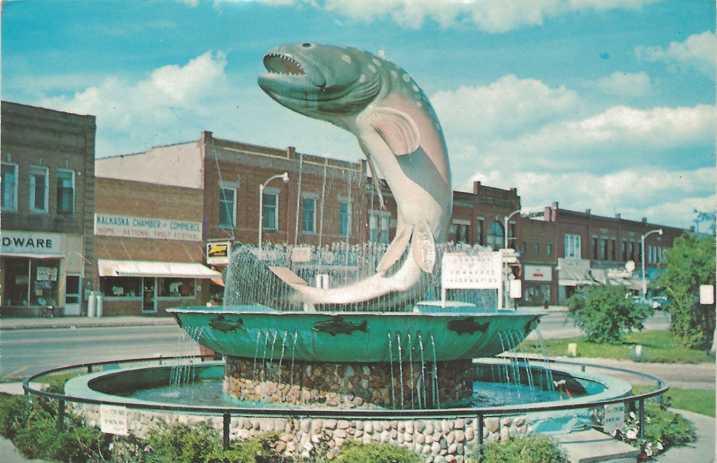 NW Kalkaska MI 1966 Brook Trout Officially known as the Na… Flickr