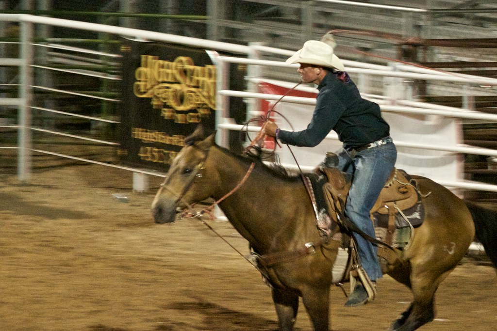 Calf Roping at the Oakley Rodeo. I have been away my frien… Flickr