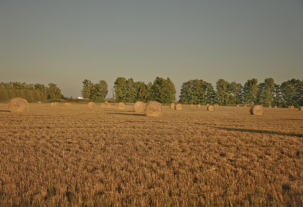 Pefferlaw, Ontario Mark Peter Drolet Flickr