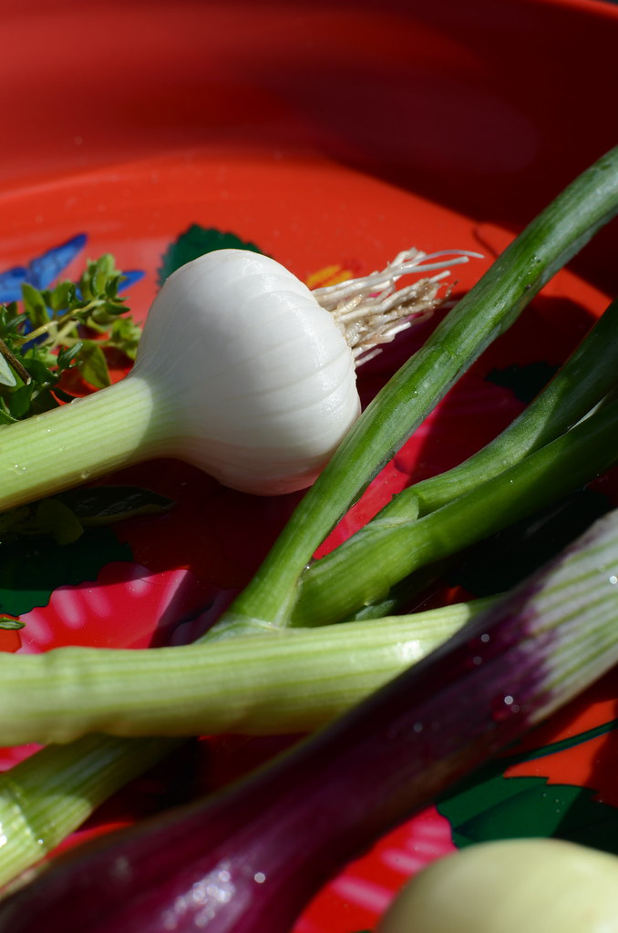 Fresh garlic and onions Jacob Damgaard Flickr