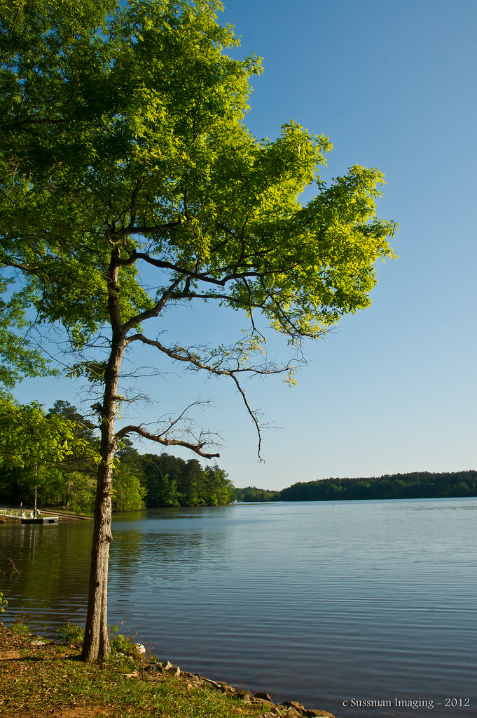 Lake Harding 1 Lake Harding is located along the Flickr