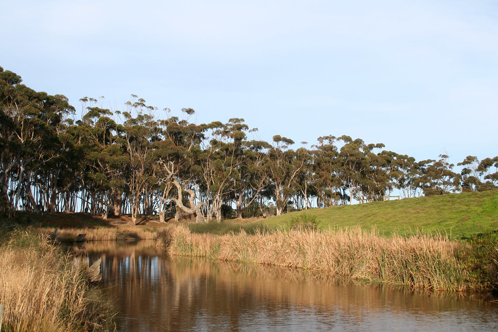 20120708_4444 Rothwell Reserve Little River View of the … Flickr