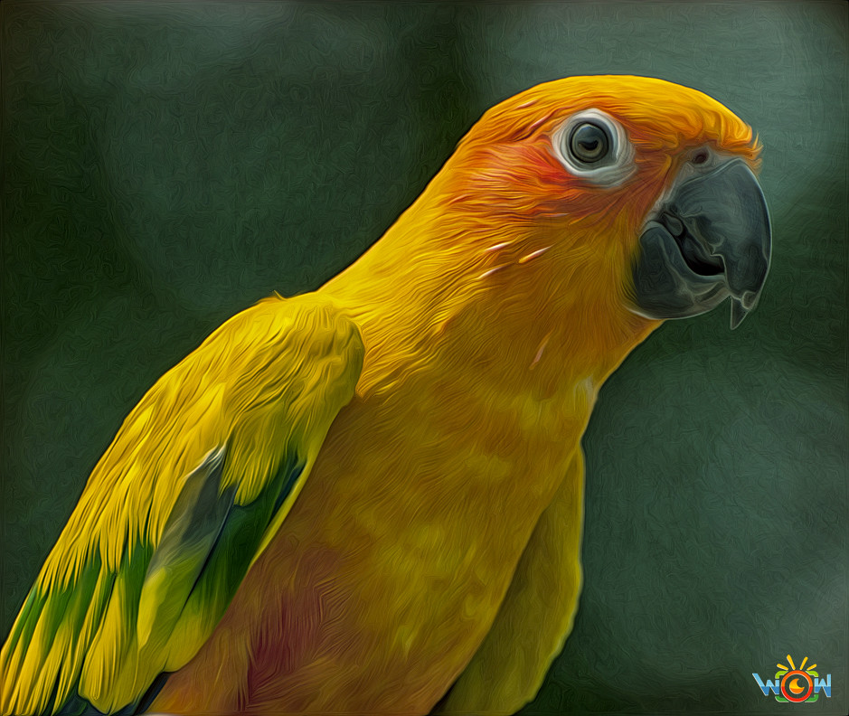 Elevation of California Ave, Port Jefferson, NY, USA Topographic Map