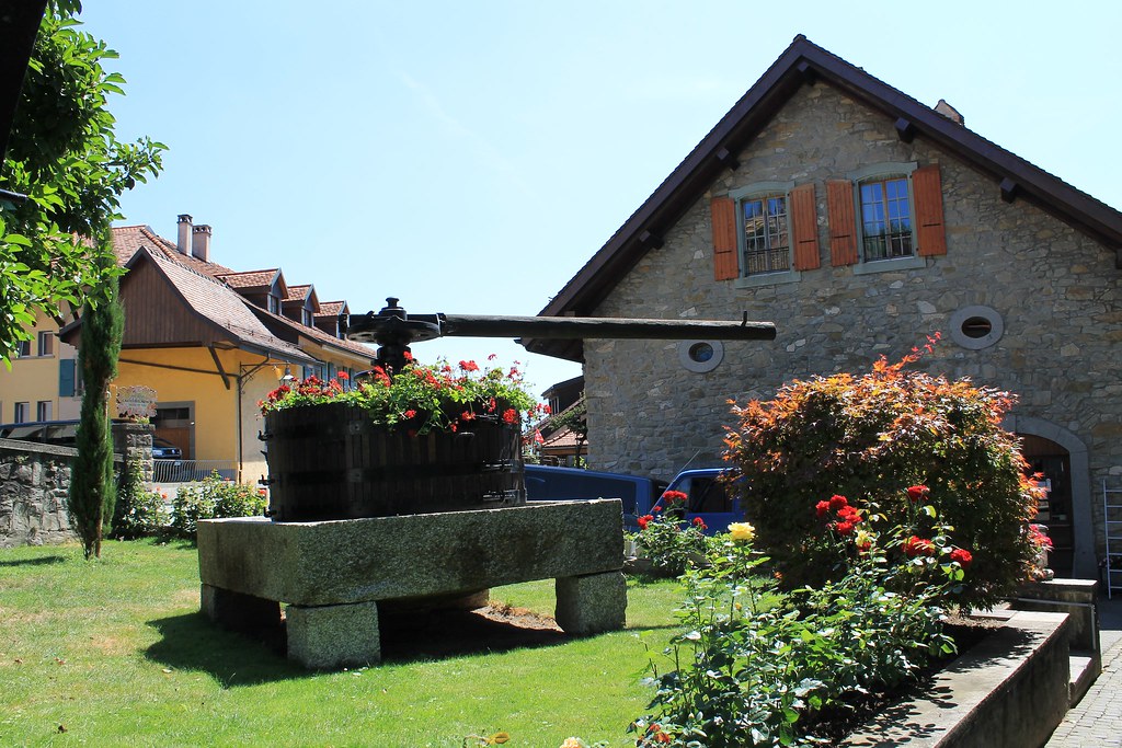 Terrasses de Lavaux StSaphorinLutry Terrasses de Lavau… Flickr