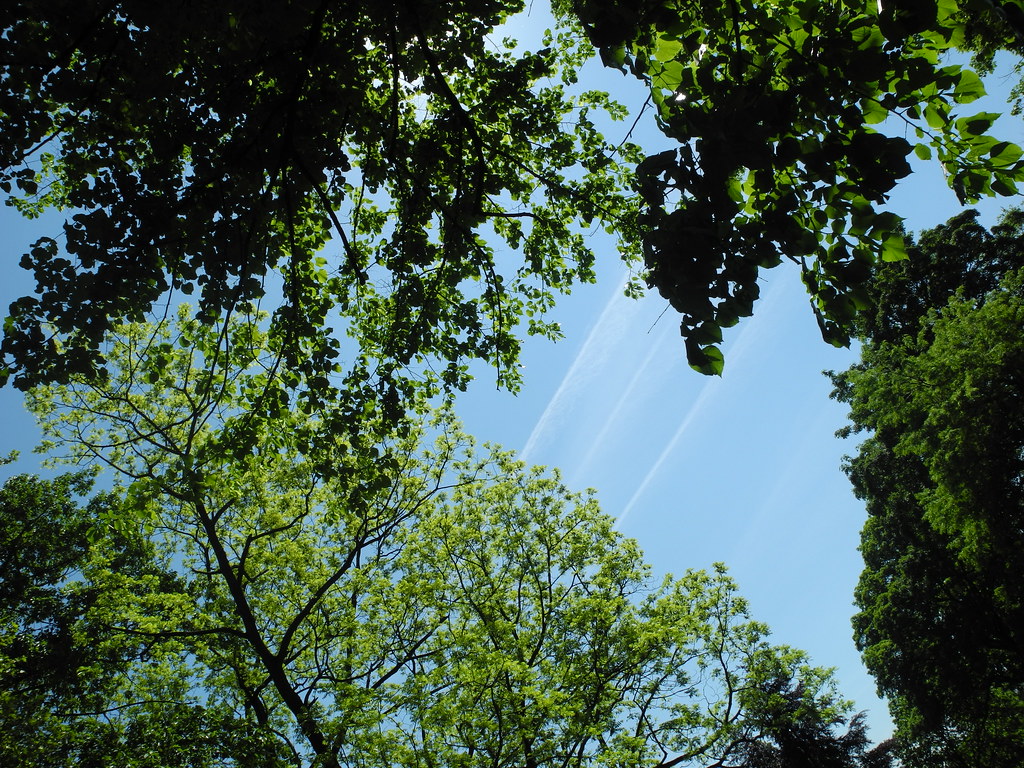 Park in Charleroi Ben Parsons Flickr