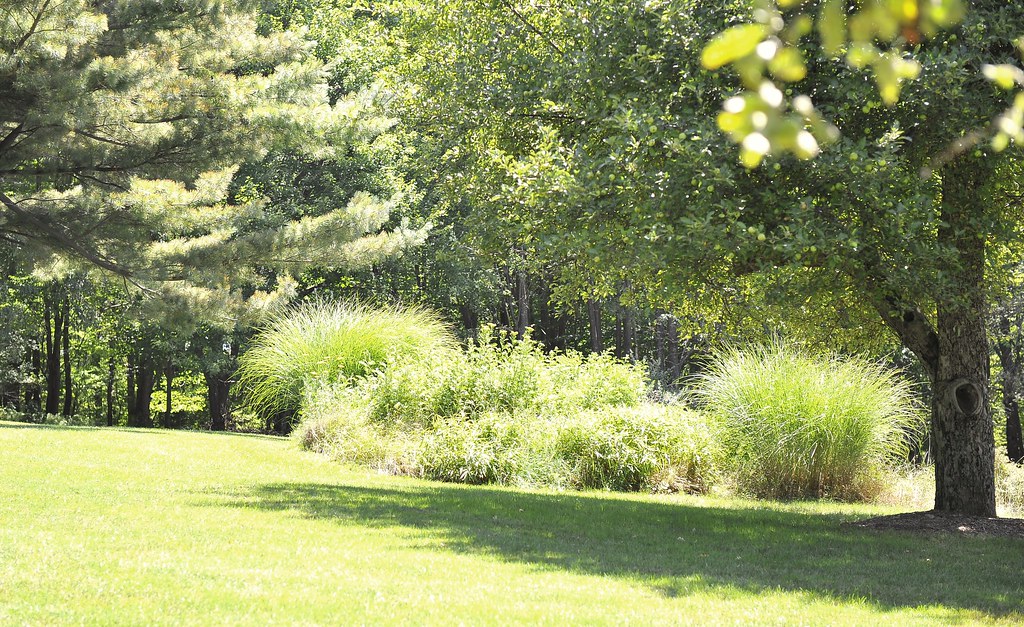 542 Laporte Avenue Eagles Mere PA E. View of Wildflower … Flickr