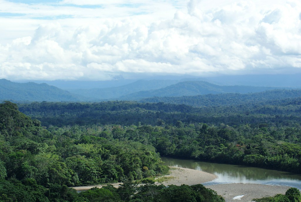 Ecuadorian Amazon rain forest, looking toward the Andes Flickr