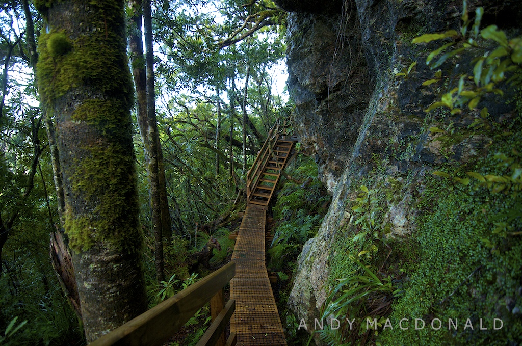 Mt Hobson Track Technically I guess its the "Mt Heale Trac… Flickr