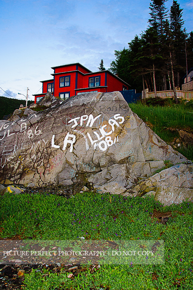 Seal Cove, White Bay Kelly Barney Flickr