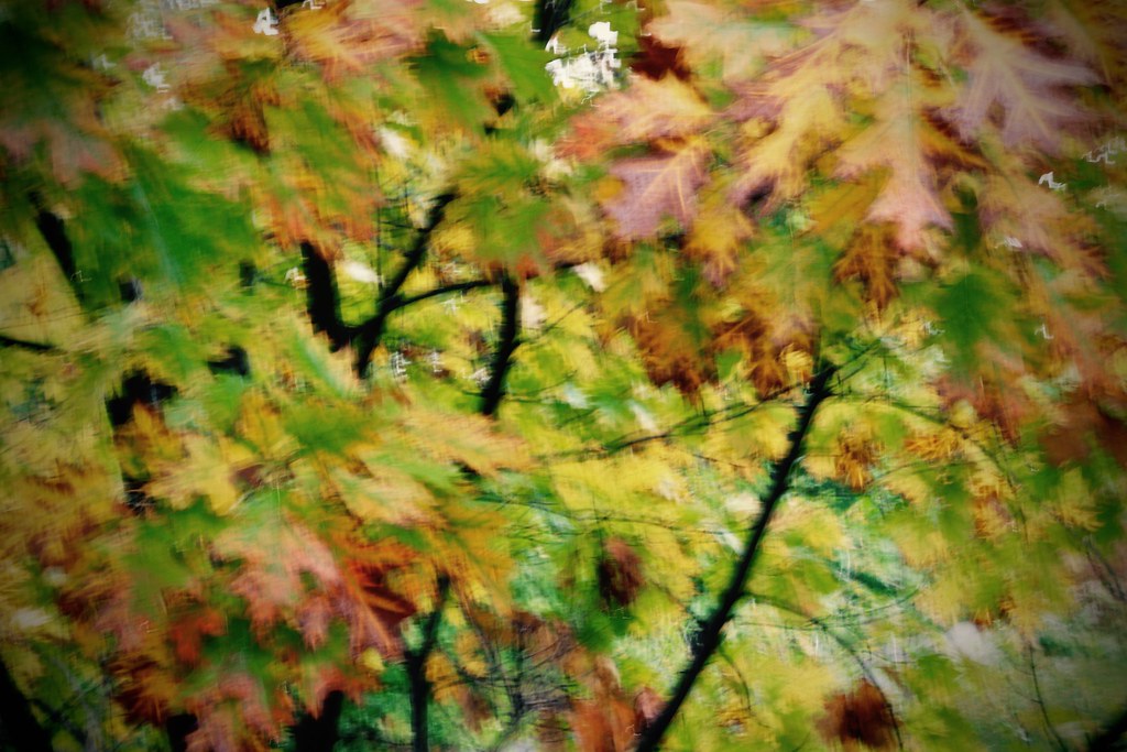 Windyday Omaha Nebraska Windyday Omaha sonriks4 Flickr