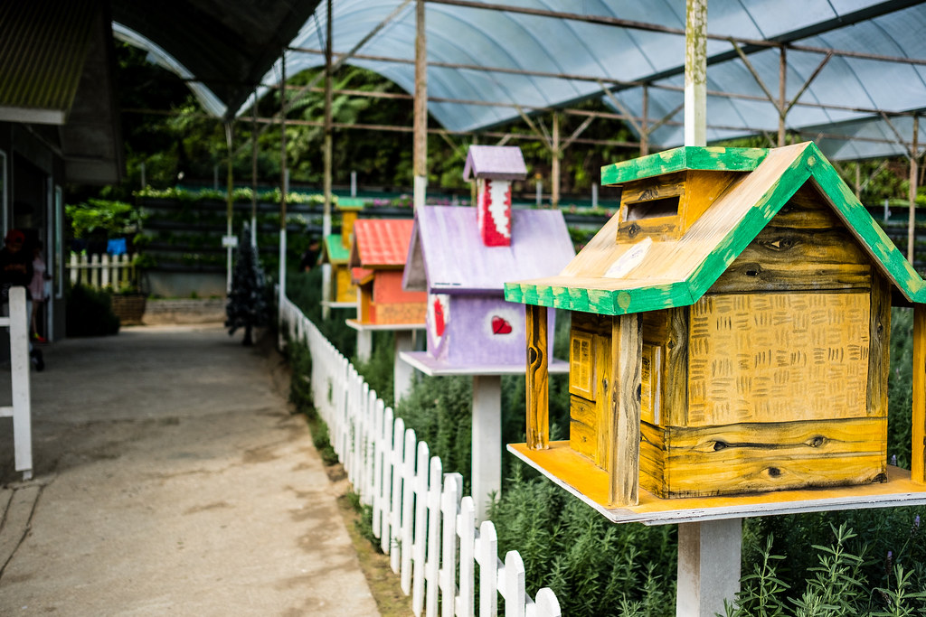 Strawberry Farm & Garden A visit to Strawberry Farm near G… Flickr