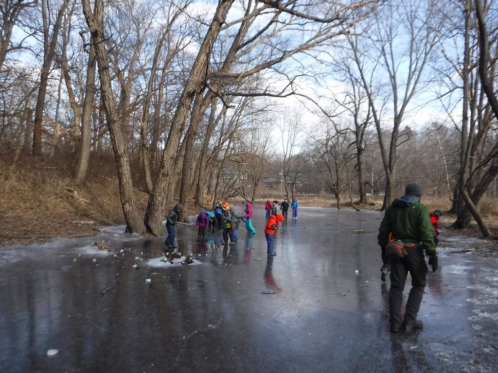 ASP Thursday 2/2/17 Big Oak Woods Flickr