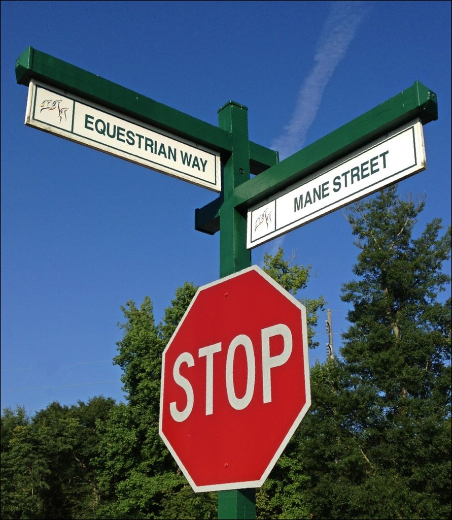 172/365 GIHP Street Signs carterse Flickr