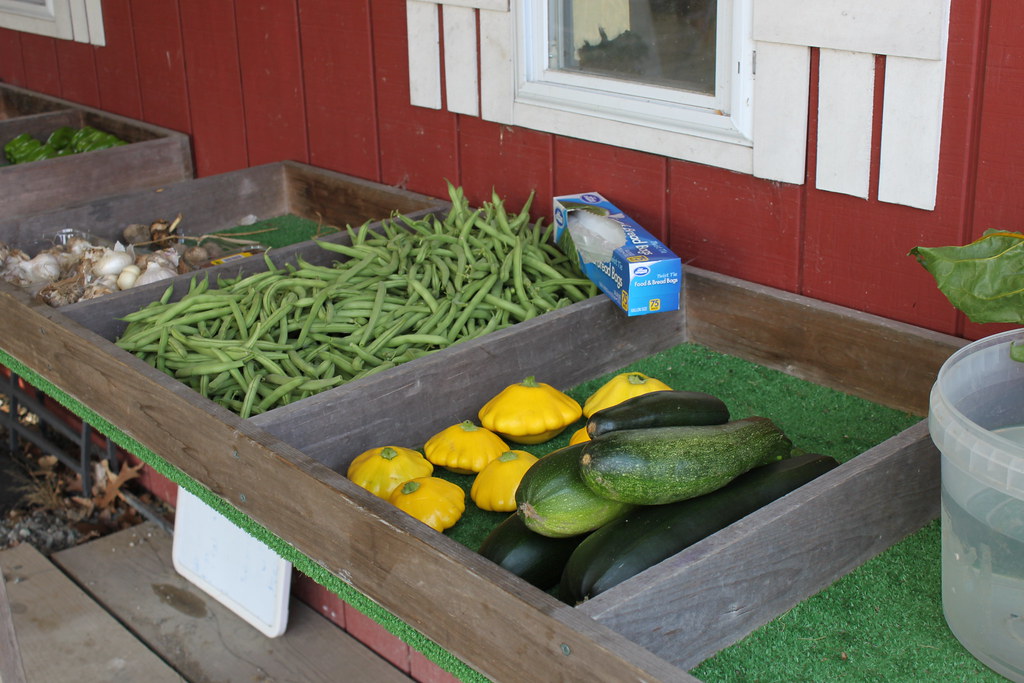 garden 003 East Greenbush Central School District Flickr