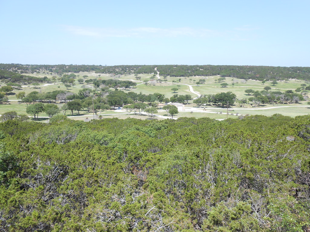 Fossil Rim View Fossil Rim Wildlife Center, Glen Rose Texa… Chris M
