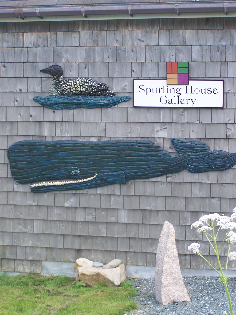 For Sale Corea Maine at Debra Bryan blog