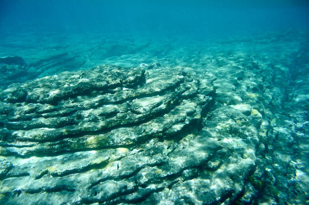 antigua caribbean pillars of hercules rocks snorkel antigu… Flickr