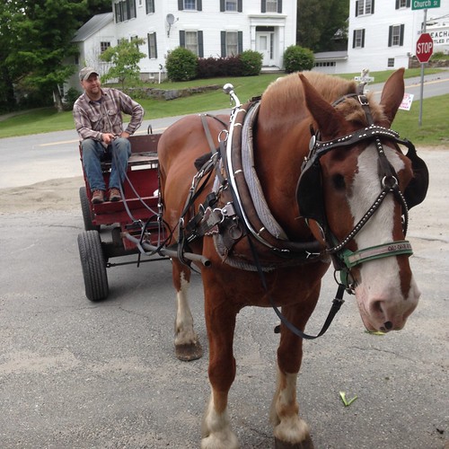 Tom Gallant, Town clerk giving wagon rides and Pete the Be… Flickr