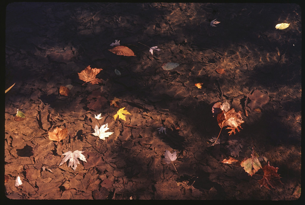 dry glaize creek 2 cavematt Flickr