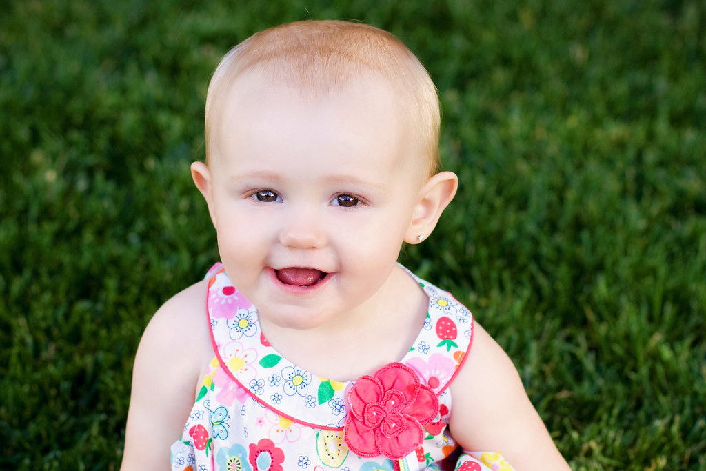 IMG_6127 crop Mrs. Z's Hobby Flickr