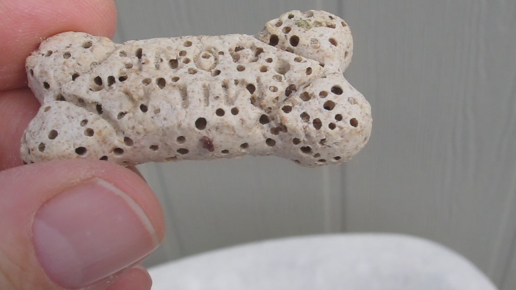 Milkbone is Home for Insects Little bugs live inside of th… Flickr