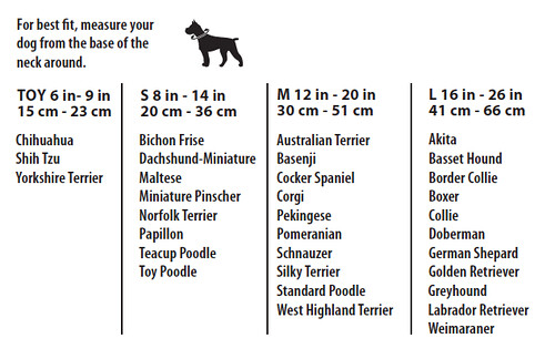 Dog Collar Size Guide | Simply She | Flickr