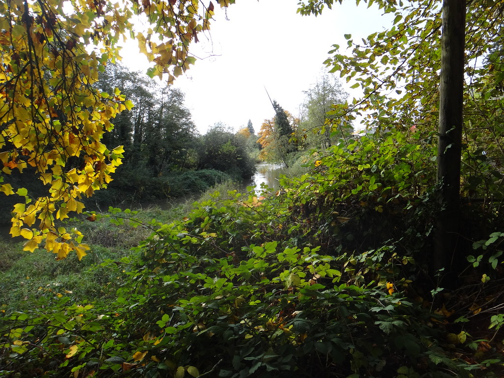 Springwater corridor enhancement Community groups working … Flickr