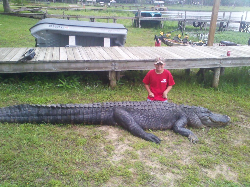 Lake Fork Alligator 4142012 Lake Fork Marina Flickr