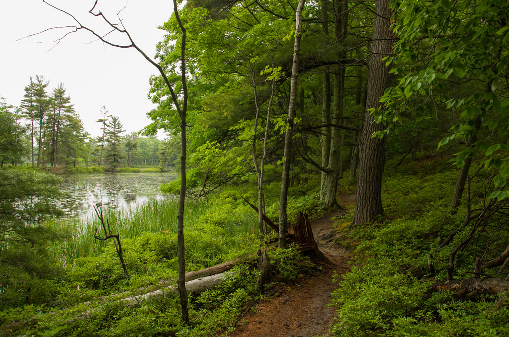 Lost Lake Trail Spectacular hiking trails at Ludington Sta… Bill