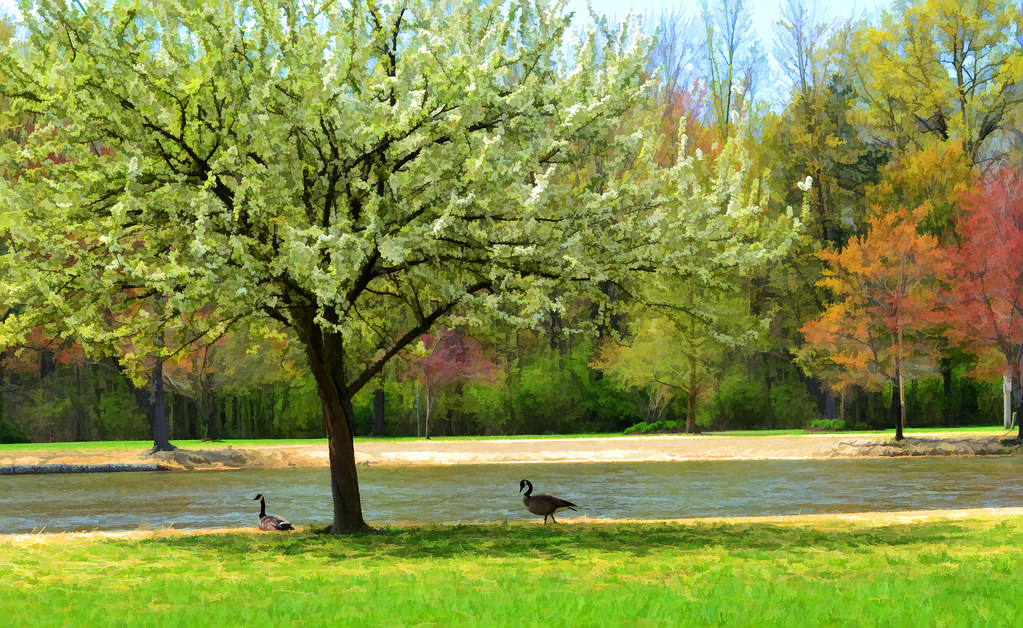 aDSC_0005 Recreation Park, Painesville Ohio doyt Flickr