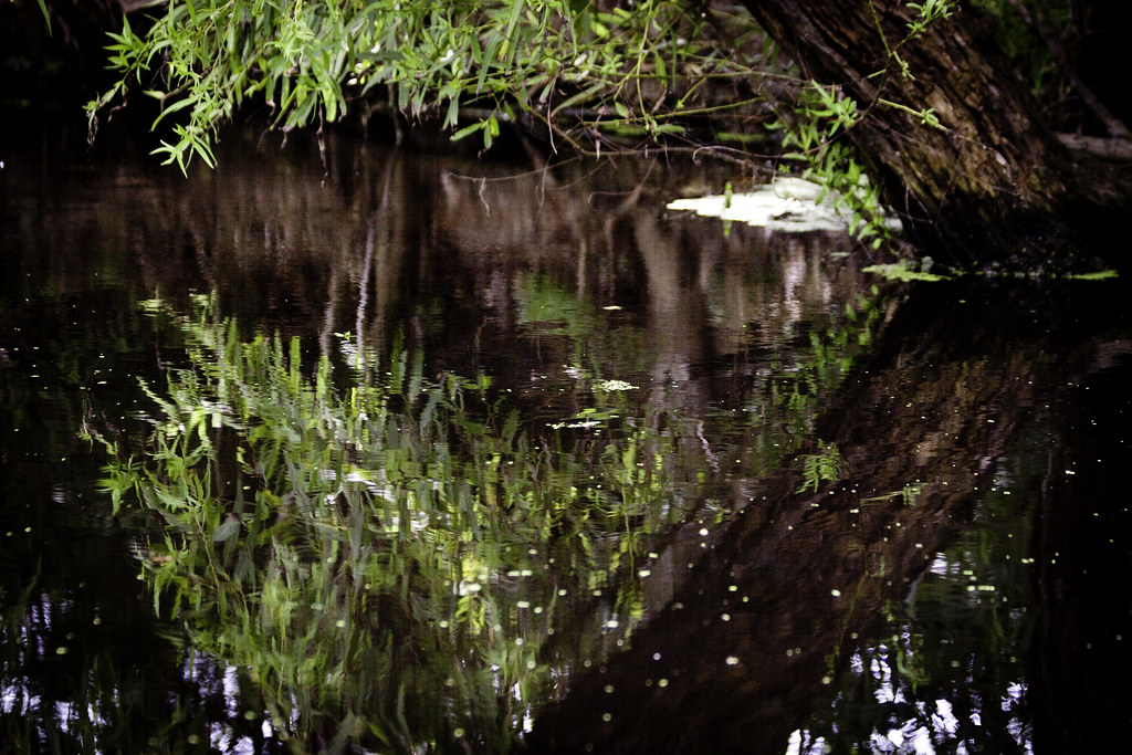 Booked On The Bayou Terrebonne Parish 422107R1204A