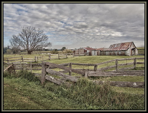 Broken down shed A shed we passed in NSW needs some TLC CJay181