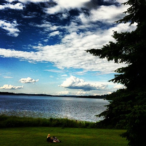 Andrews Bay on Lake Washington. Lee LeFever Flickr