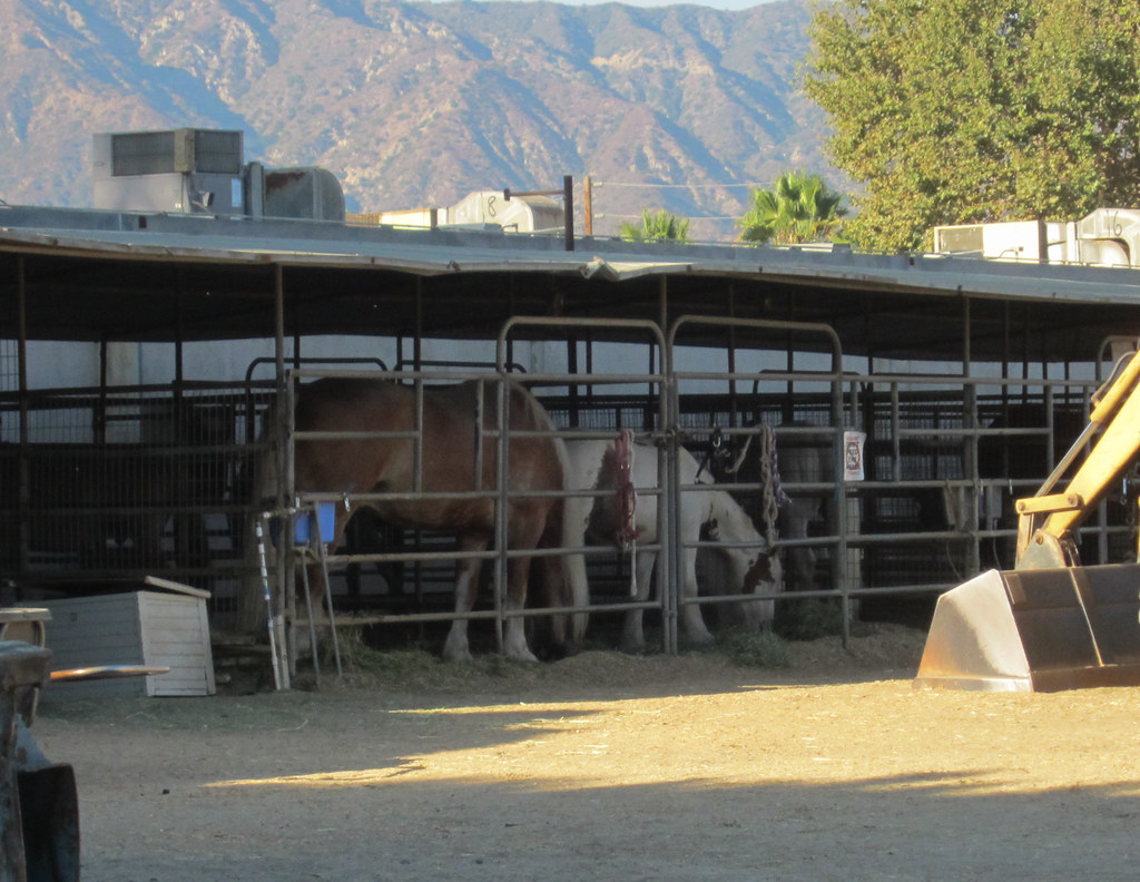 Burbank LA River Circle K stables (3697) A very large (dra… Flickr