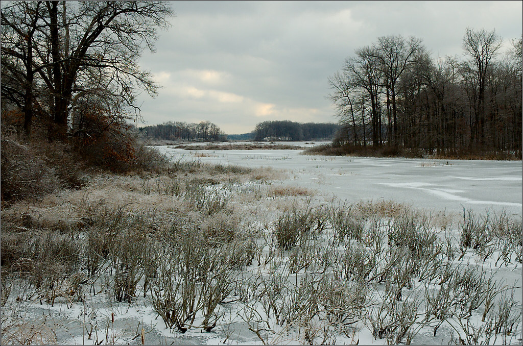 Mud Lake Near Delton, Michigan, where you're never far fro… Flickr