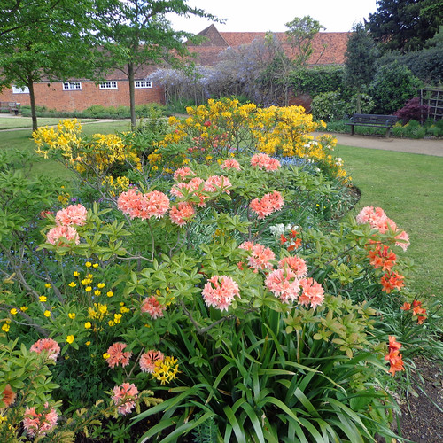 Forty Hall garden It's proper lovely at the moment diamond geezer