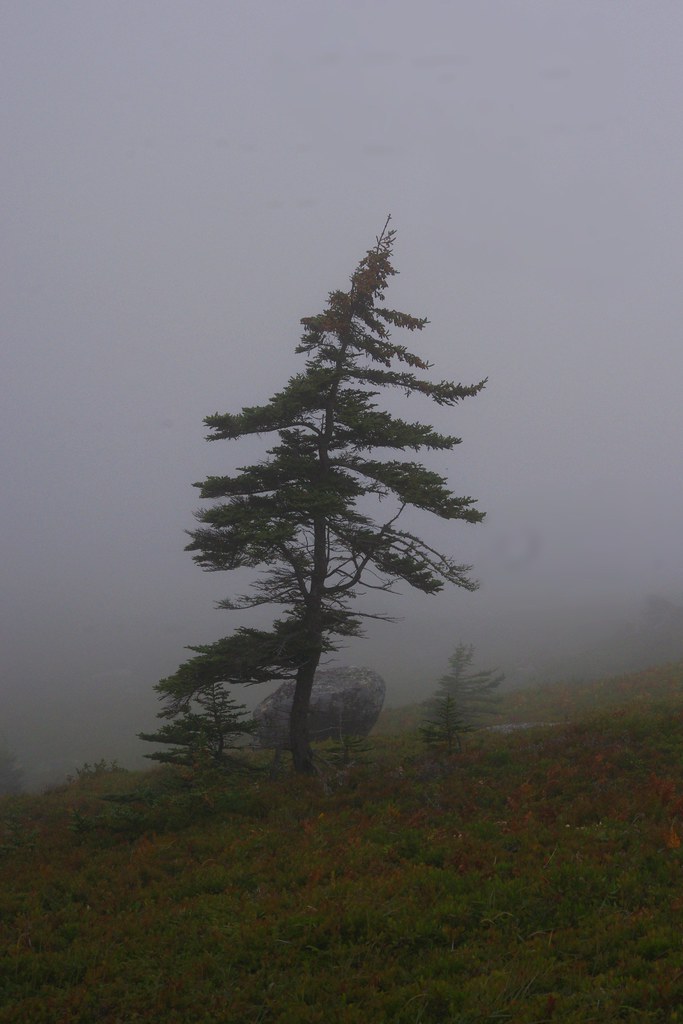Peggy's Cove SwissAir Flight 111 Memorial jmaxtours Flickr