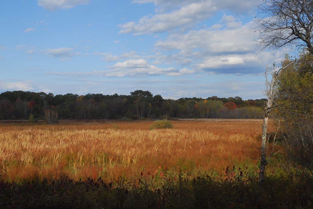 Arlington Great Meadow in the fall ! Flickr