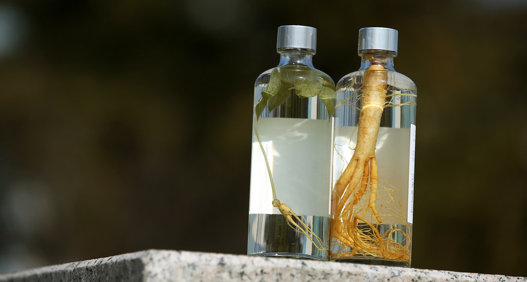 Korea_Wild_Ginseng_Liquor_04 Korean Wildcultivated Ginsen… Flickr
