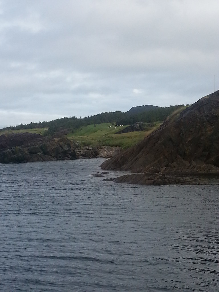 This is my tickle cove where my family grew up and alot of… Flickr