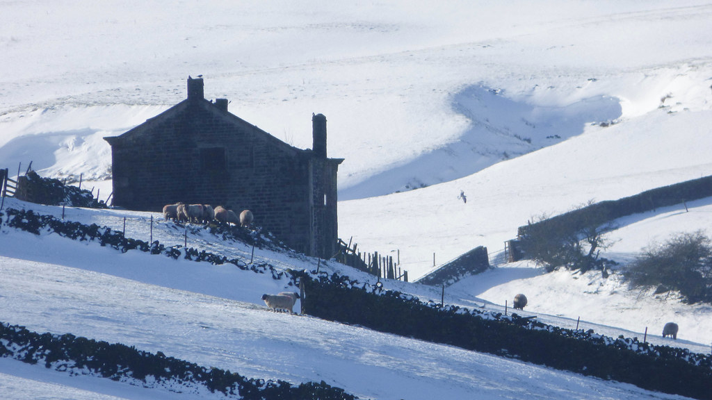 Moorland Farm in Winter (Colour) I recently uploaded a bla… Flickr